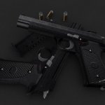 Tub&acute;s P210