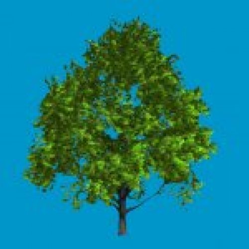 skybox_baum01