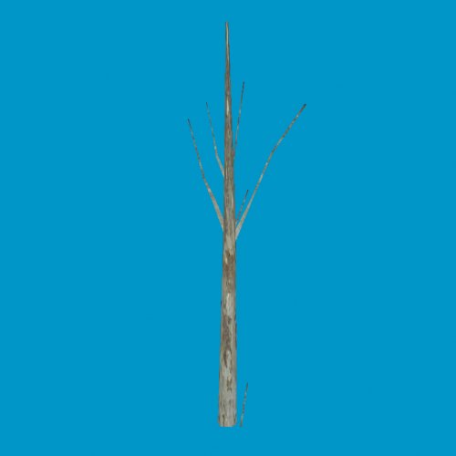 lowpoly_treetrunk