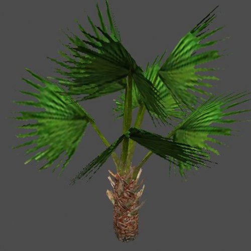 cc_pr_OfficePlants_02