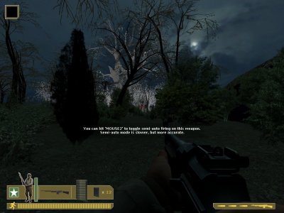 dod_forest_dtt