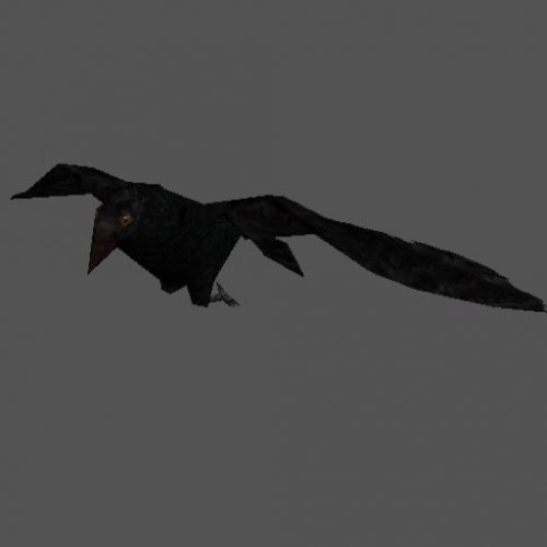 crows