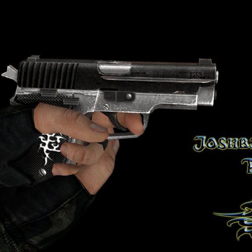Joshbjoshingu's P228