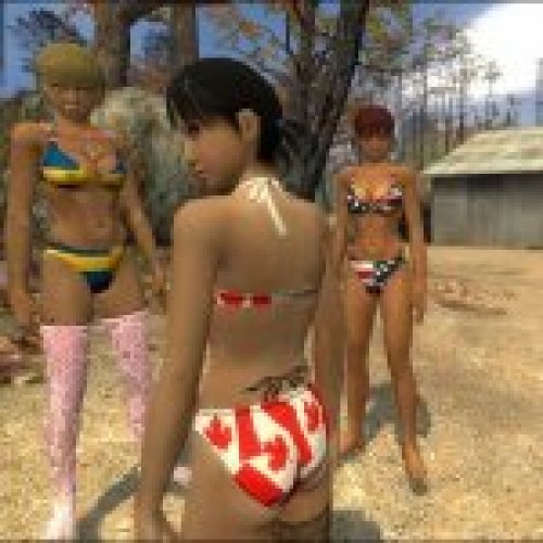 Korin International Bikinis