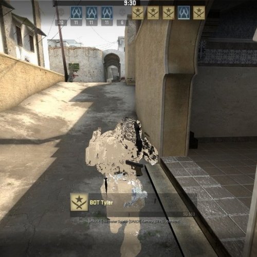 Predator Invisible
