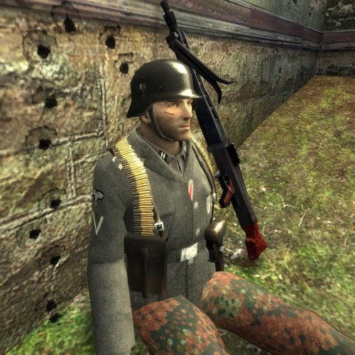 Real_Waffen_SS_Skin