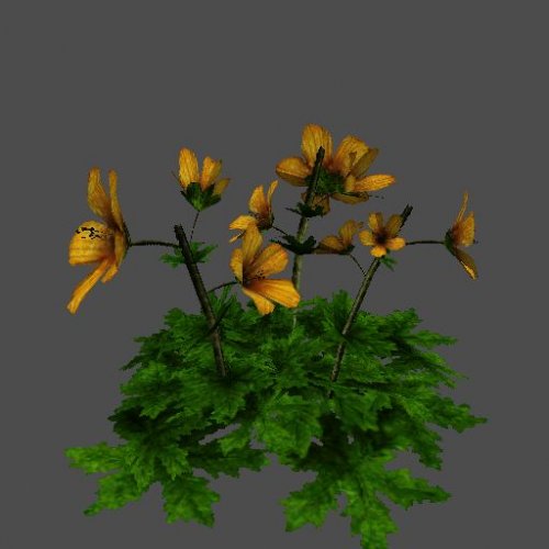 monkeyflower