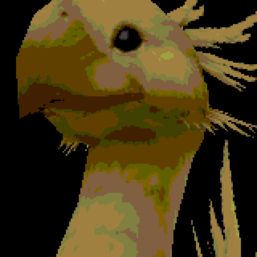 ffchocobo