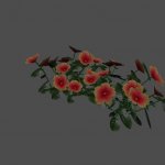 pc_Flower_05_Mesh