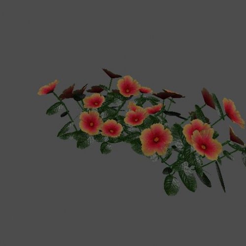 pc_Flower_05_Mesh