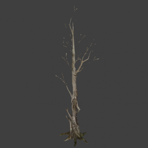 tree_01