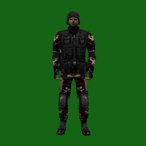 camohelm