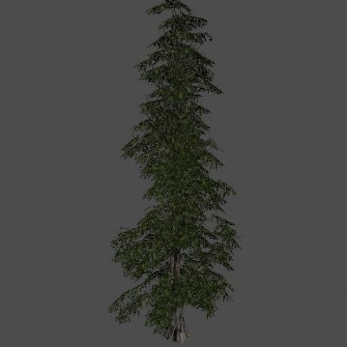 fnv_tree01
