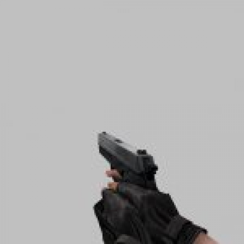 Sig Pro 2009