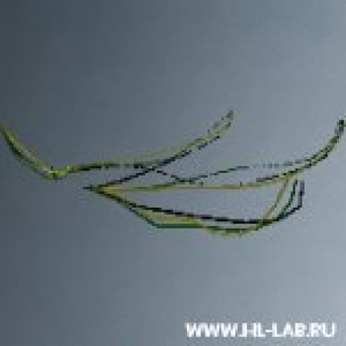 wires_bomb