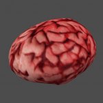 AF_brain