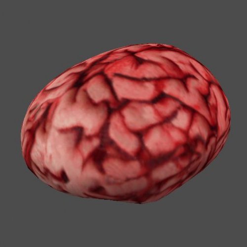 AF_brain