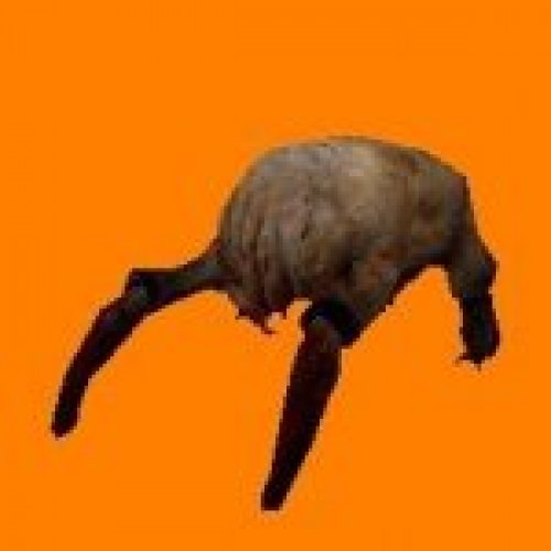 HL2 Headcrabs