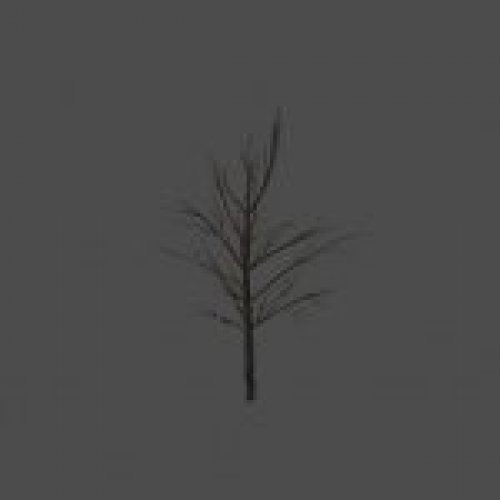 treetrunk
