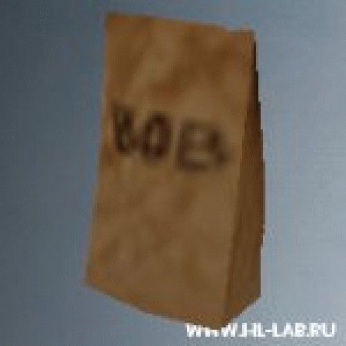 lunch_sack