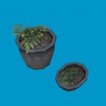 potted plants08
