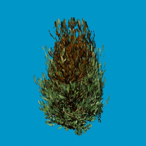 foliage 04