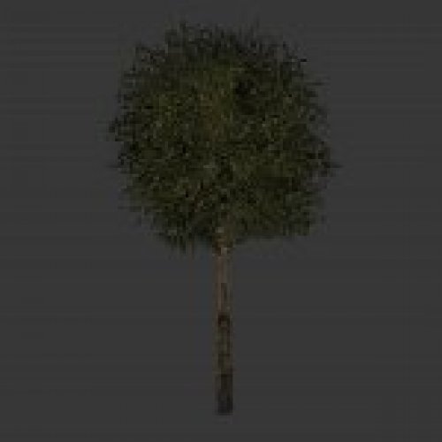 tree6.mdl