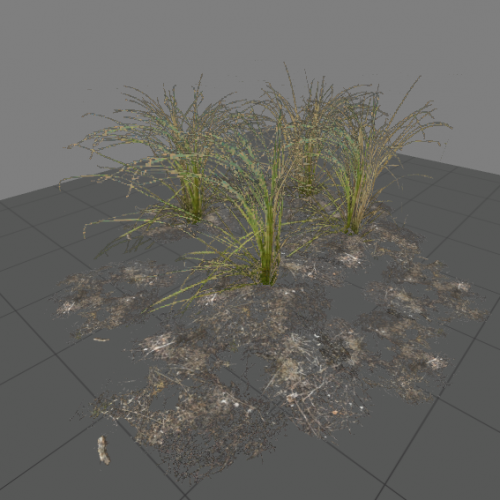 l10swamp_plant_group3