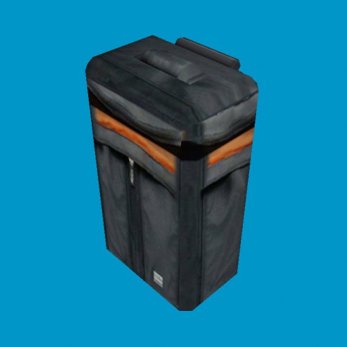 luggage carryon