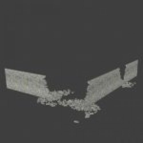 st_brick_stena_02