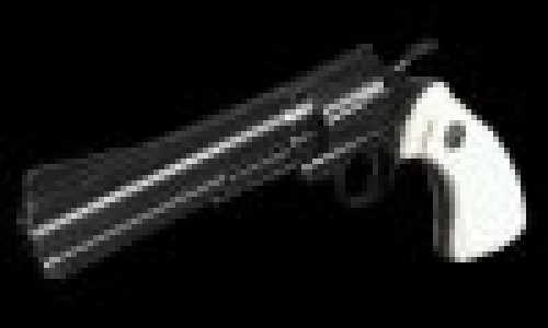 Revolver
