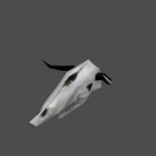 steerskull