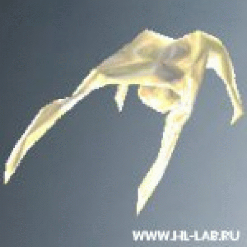 baby_headcrab.zip