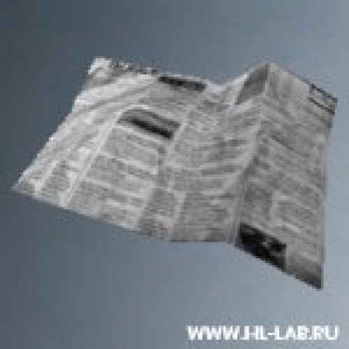 newspaper2