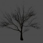 bigtree2
