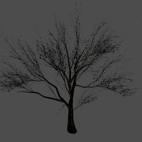 bigtree2