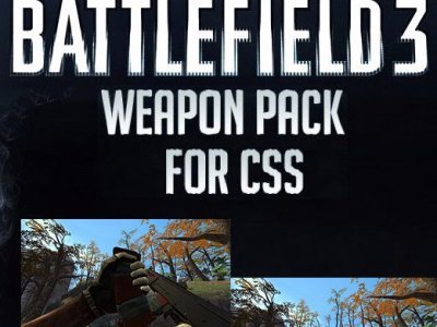 Battlefield 3 Weapons Pack