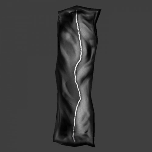 Bodybag