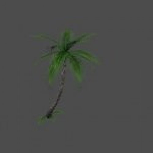 prop_rimpalm1a