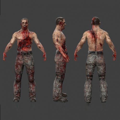 Zombie Soldier