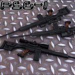 HK PSG-1