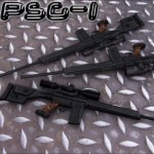 HK PSG-1