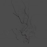 AF_grapevine_dry