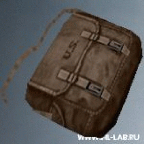 satchel