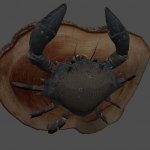 tesv_mudcrab