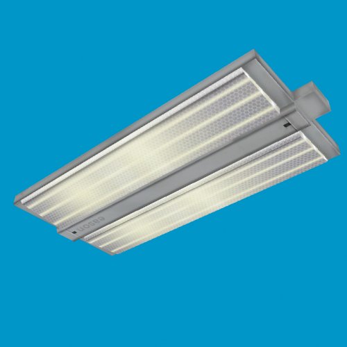 flourescent bisection