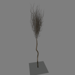 l10_swamp_kamysh_tree3