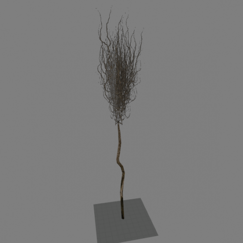 l10_swamp_kamysh_tree3