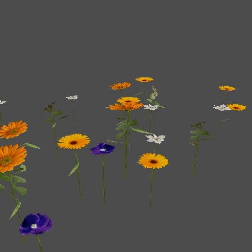 FlowerBed_02