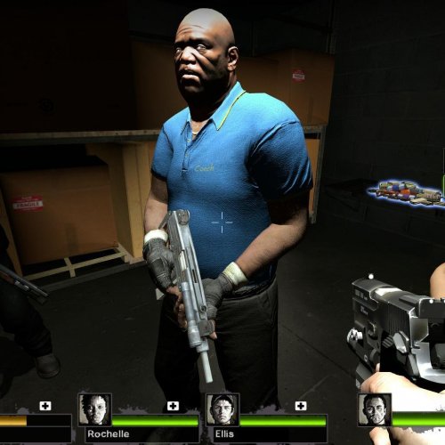 Fallout coach